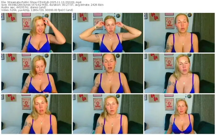 2025/11/13/streamate-trinityb-20-22-01