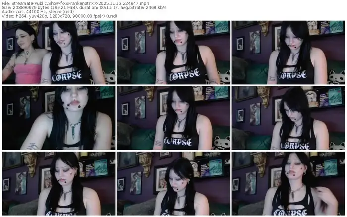 2025/11/13/streamate-xxfrankenatrixx-22-49-47