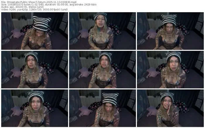 2025/11/13/streamate-zaturn-03-38-30