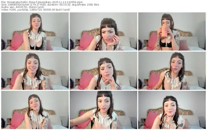 2025/11/13/streamate-dovesdiary-13-25-59