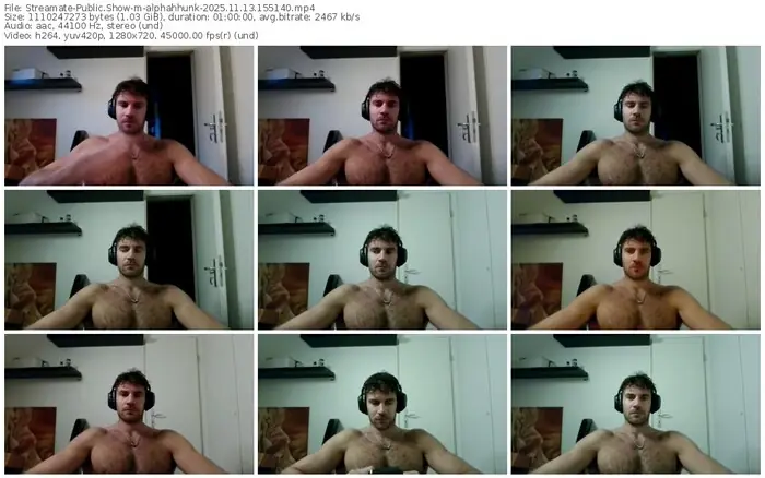 2025/11/13/streamate-alphahhunk-15-51-40