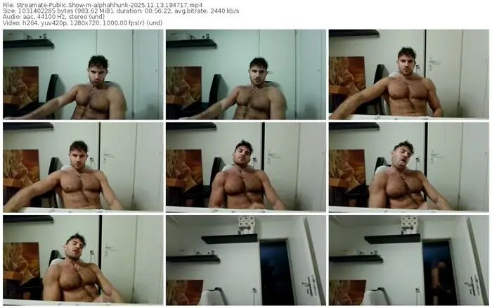2025/11/13/streamate-alphahhunk-18-47-17