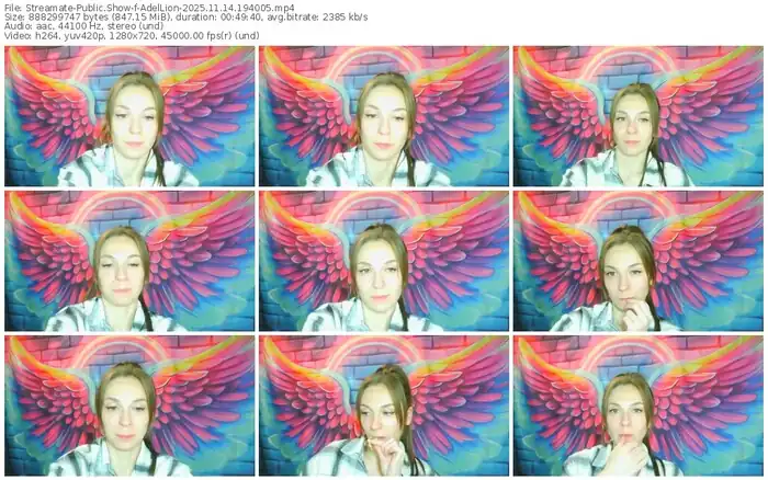 2025/11/14/streamate-adellion-19-40-05