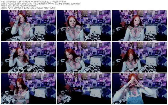 2025/11/14/streamate-ariahrose-02-35-37