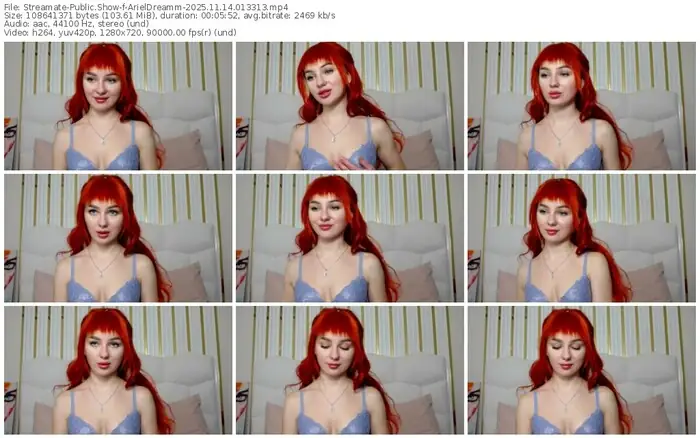 2025/11/14/streamate-arieldreamm-01-33-13