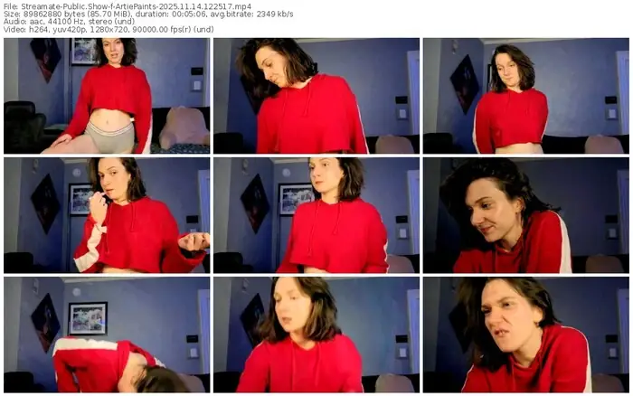 2025/11/14/streamate-artiepaints-12-25-17