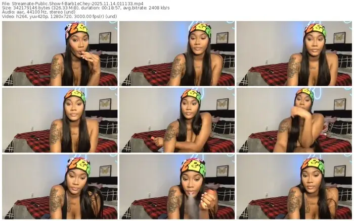 2025/11/14/streamate-barb1echey-01-11-33