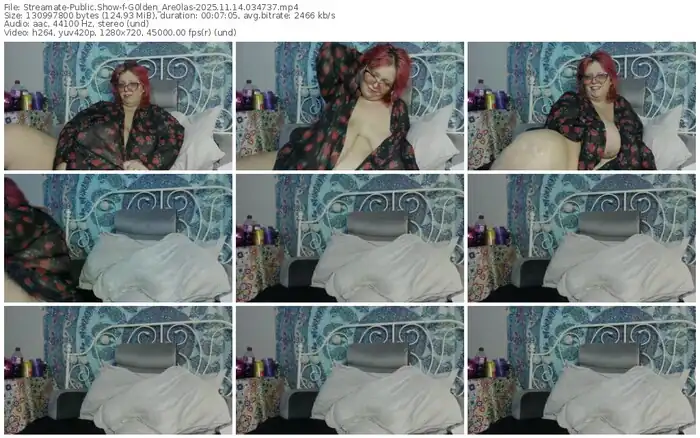 2025/11/14/streamate-g0lden_are0las-03-47-37