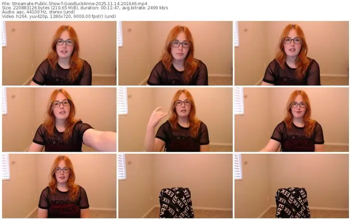 2025/11/14/streamate-goodluckanne-20-16-46