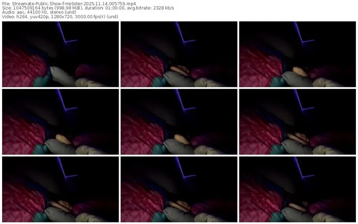 2025/11/14/streamate-hesster-00-57-59