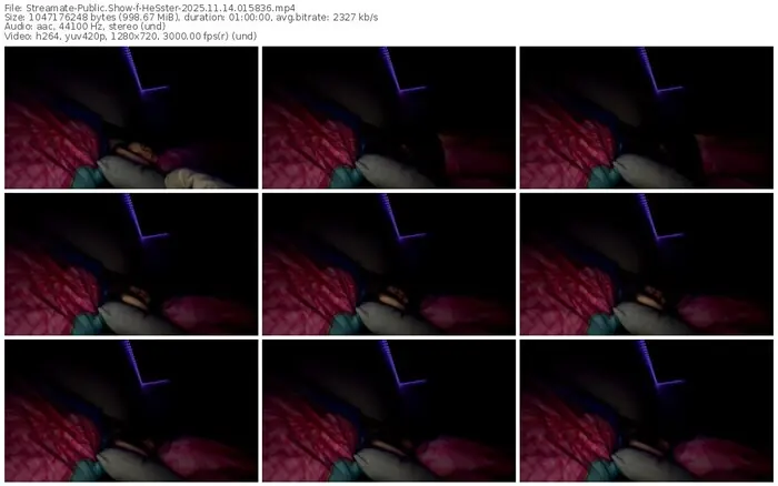 2025/11/14/streamate-hesster-01-58-36