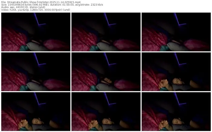 2025/11/14/streamate-hesster-02-59-15