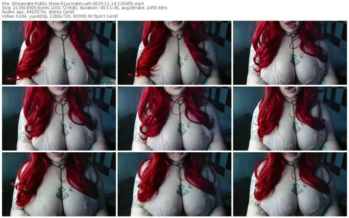 2025/11/14/streamate-lucinderlush-13-00-05