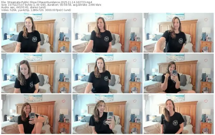 2025/11/14/streamate-ravensundance-16-27-23