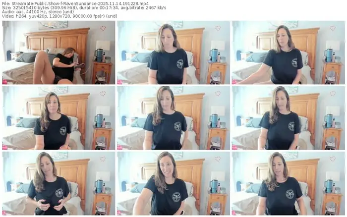 2025/11/14/streamate-ravensundance-19-12-28