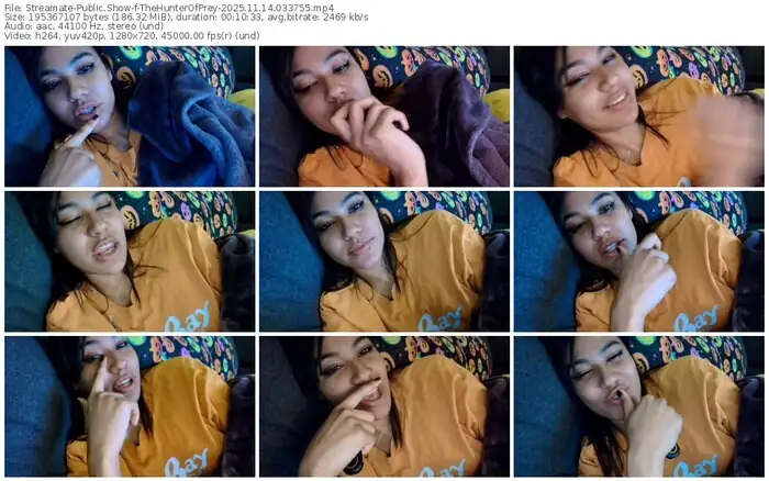 2025/11/14/streamate-thehunterofprey-03-37-55