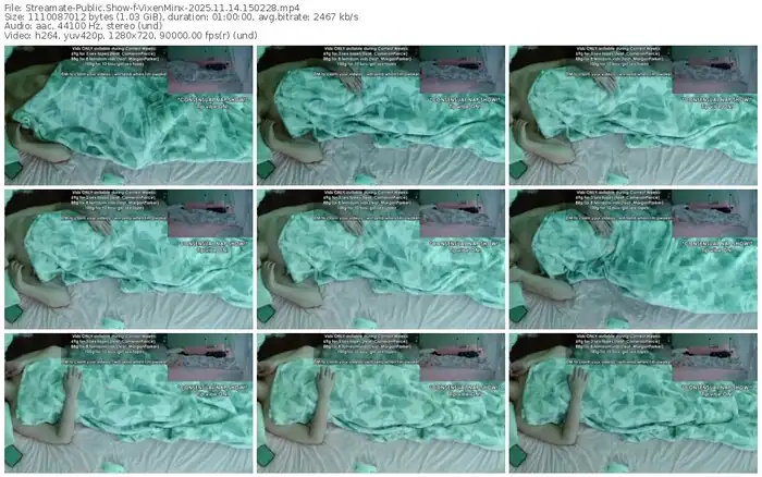 2025/11/14/streamate-vixenminx-15-02-28