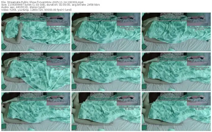 2025/11/14/streamate-vixenminx-16-03-03