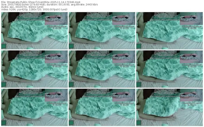 2025/11/14/streamate-vixenminx-17-03-46