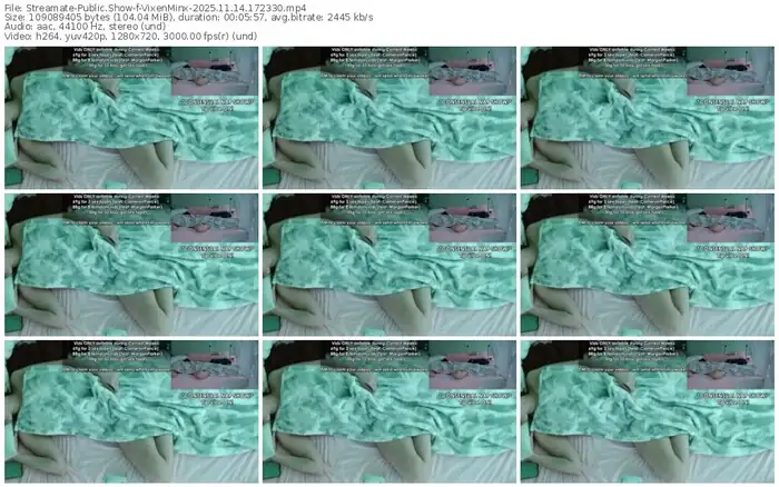 2025/11/14/streamate-vixenminx-17-23-30