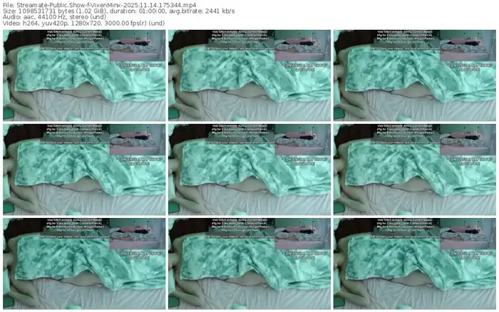 2025/11/14/streamate-vixenminx-17-53-44