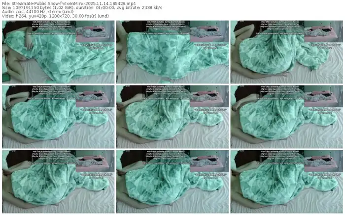 2025/11/14/streamate-vixenminx-18-54-29