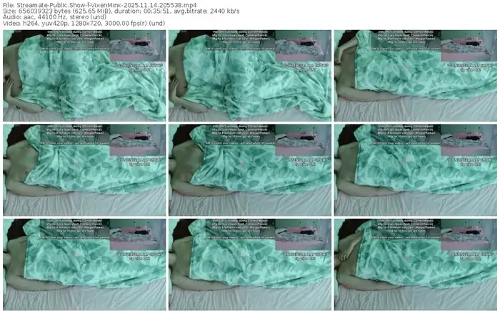 2025/11/14/streamate-vixenminx-20-55-38