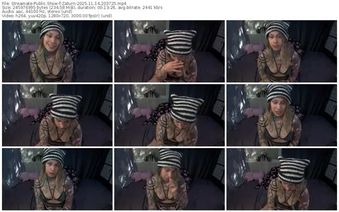 2025/11/14/streamate-zaturn-20-37-25