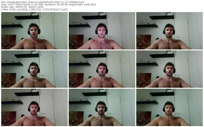 2025/11/14/streamate-alphahhunk-16-49-06