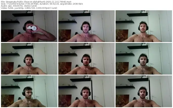 2025/11/14/streamate-alphahhunk-17-49-40