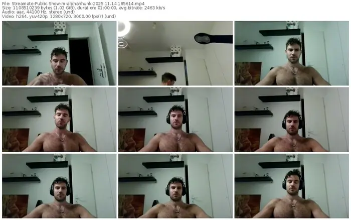 2025/11/14/streamate-alphahhunk-18-56-14