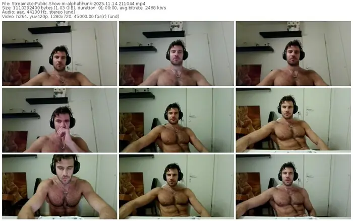 2025/11/14/streamate-alphahhunk-21-10-44