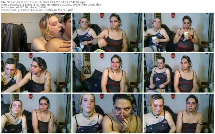 2025/11/14/streamate-evelan123-20-47-36