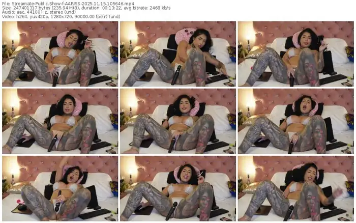 2025/11/15/streamate-aariss-10-56-46