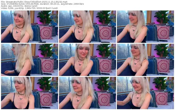 2025/11/15/streamate-allyelliot-13-52-32