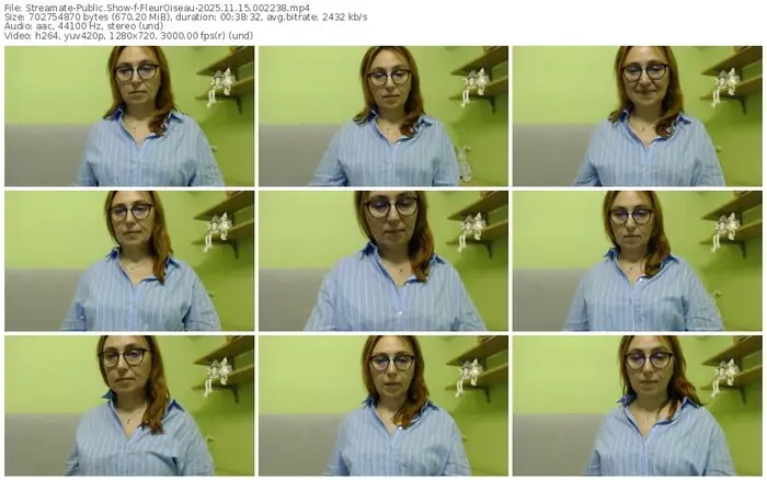 2025/11/15/streamate-fleuroiseau-00-22-38