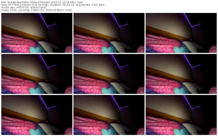 2025/11/15/streamate-hesster-01-44-21