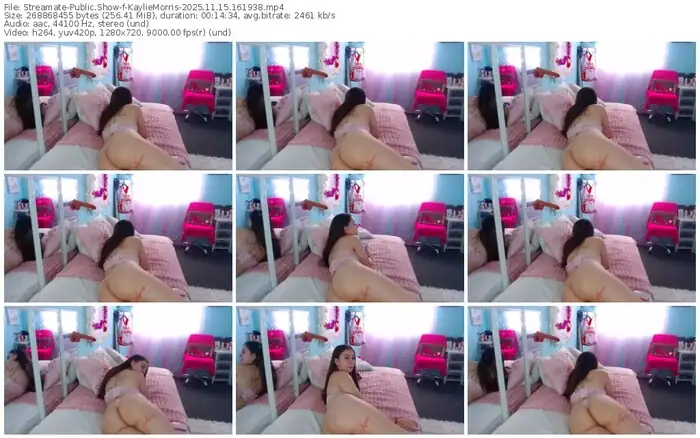 2025/11/15/streamate-kayliemorris-16-19-38