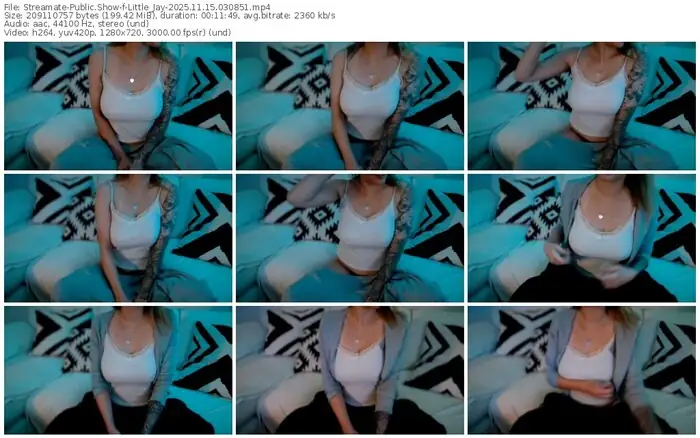 2025/11/15/streamate-little_jay-03-08-51