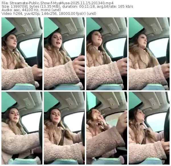 2025/11/15/streamate-myamuse-20-13-40