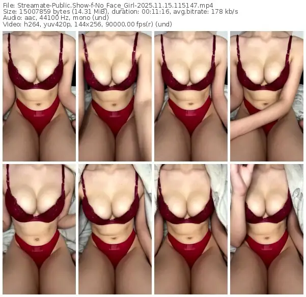 2025/11/15/streamate-no_face_girl-11-51-47