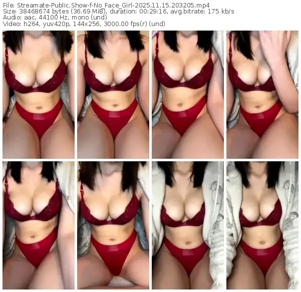 2025/11/15/streamate-no_face_girl-20-32-05