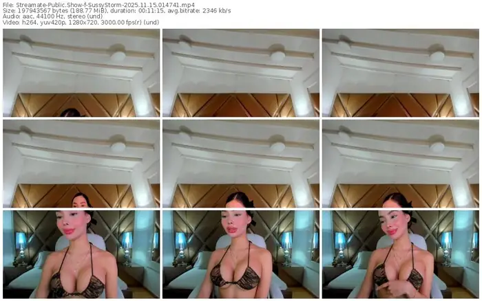 2025/11/15/streamate-sussystorm-01-47-41