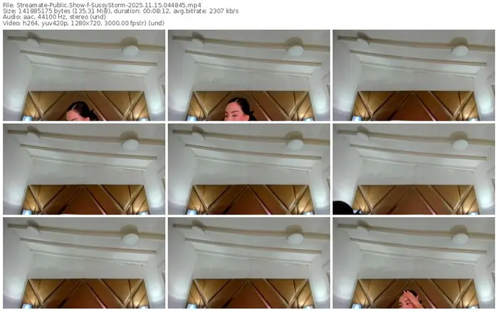2025/11/15/streamate-sussystorm-04-48-45