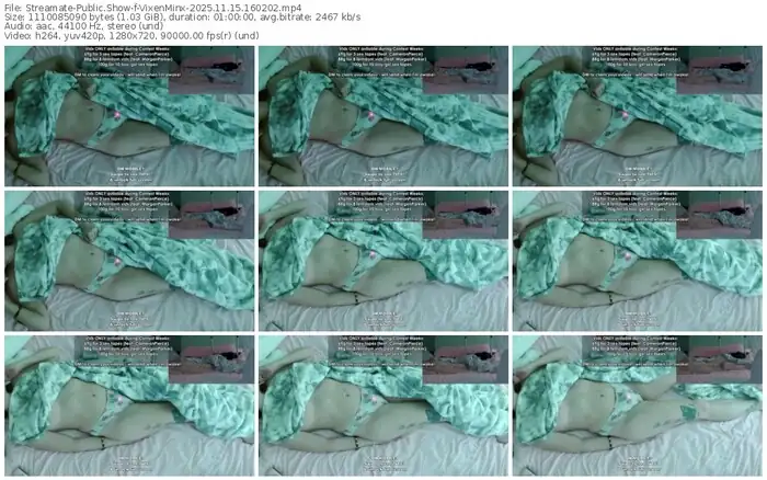 2025/11/15/streamate-vixenminx-16-02-02