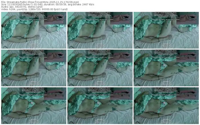 2025/11/15/streamate-vixenminx-17-02-39
