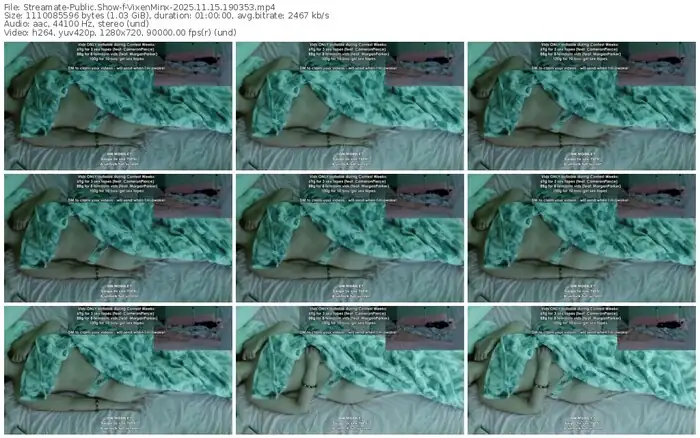 2025/11/15/streamate-vixenminx-19-03-53