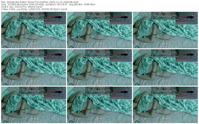 2025/11/15/streamate-vixenminx-20-04-28