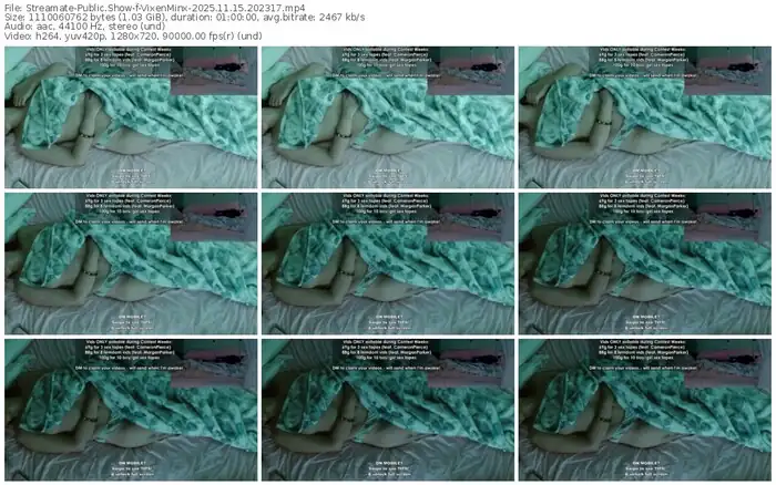 2025/11/15/streamate-vixenminx-20-23-17