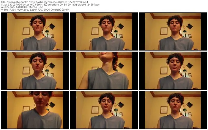 2025/11/15/streamate-wheezycheese-07-02-50